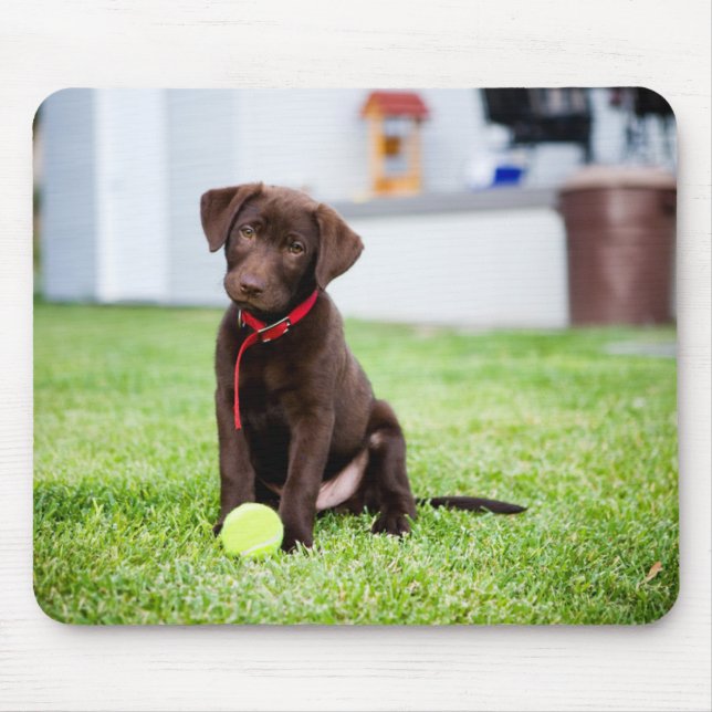 Schokolade-Labrador-Welpe mit Tennisball Mousepad (Vorne)