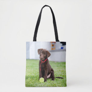 Schokolade-Labrador-Welpe mit Tennisball Tasche