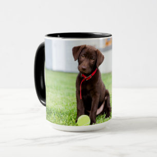 Schokolade-Labrador-Welpe mit Tennisball Tasse