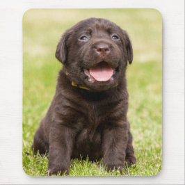 Schokolade Labrador Welpe Mousepad