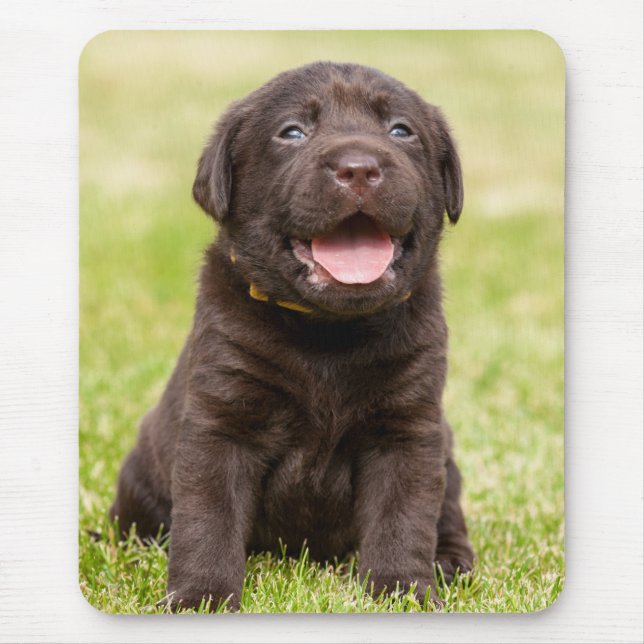 Schokolade Labrador Welpe Mousepad (Vorne)