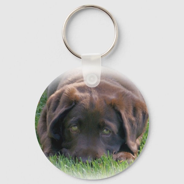 Schokolade Labrador Welpe Schlüsselanhänger (Vorderseite)