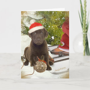 Schokolade Labrador Welpe Weihnachtskarten Feiertagskarte