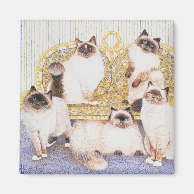 Schokolade Magnet (Vorne)