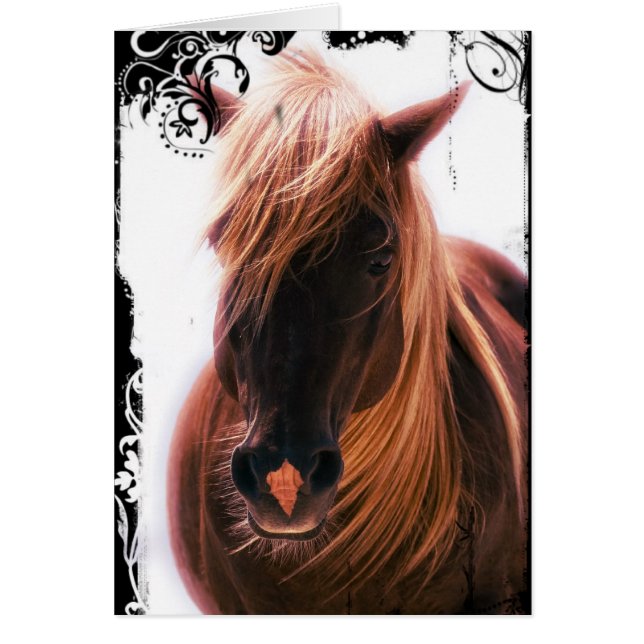 Schokolade Palomino Pferd (Vorne)