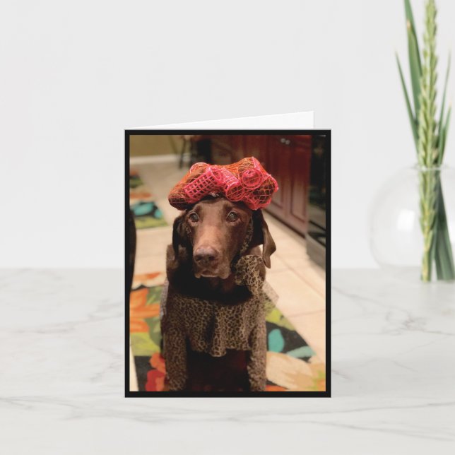 Schokolade Schönheit des Labradors Karte (Vorderseite)