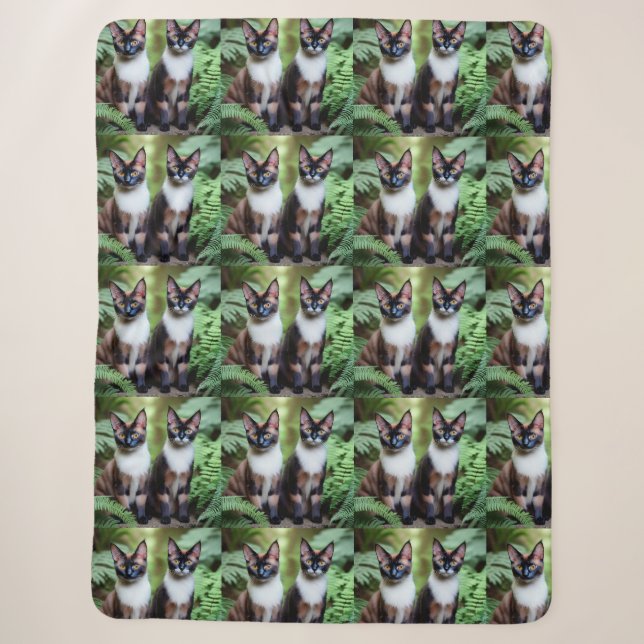 Schokolade Siamkatze Twins, Lge Sherpa Blanket Sherpadecke (Vorderseite)