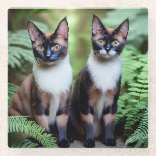 Schokolade Siamkatze Twins, Untersetzer