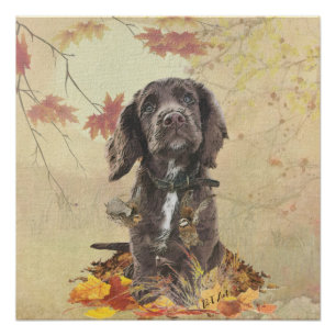 Schokolade-Spaniel-Welpe Poster