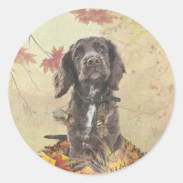 Schokolade-Spaniel-Welpe Runder Aufkleber