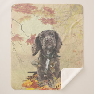 Schokolade-Spaniel-Welpe Sherpadecke