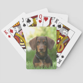 Schokolade und Tan-Dackel - Dackel Hund Spielkarten