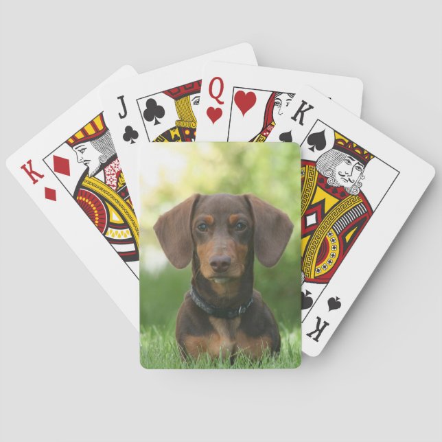 Schokolade und Tan-Dackel - Dackel Hund Spielkarten (Rückseite)