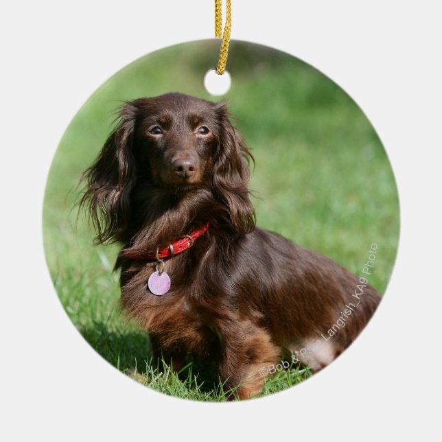 Schokolade und TANlanghaarige MiniaturDackel Keramik Ornament (Vorne)