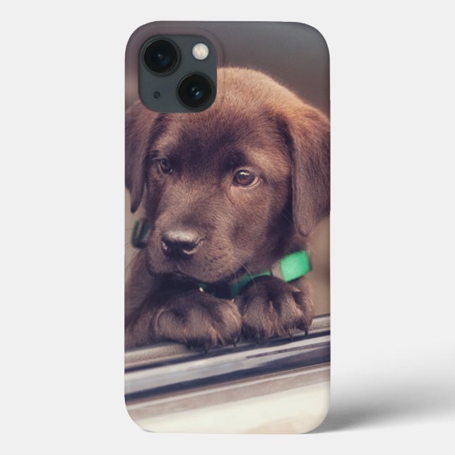 Schokolade-Welpe im Auto Case-Mate iPhone Hülle (Rückseite)