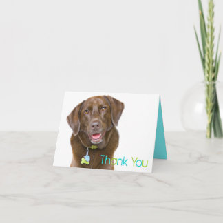 Schokoladen-Labrador danken Ihnen zu kardieren Dankeskarte