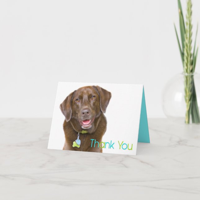 Schokoladen-Labrador danken Ihnen zu kardieren Dankeskarte (Vorderseite)