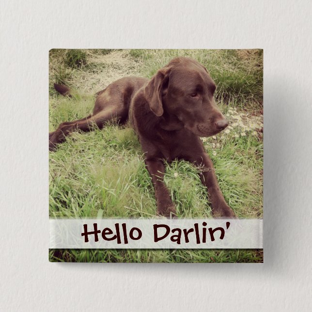 Schokoladen-Labrador, der in der Gras-Fotografie Button (Vorderseite)