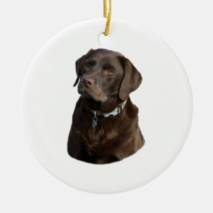 Schokoladen-Labrador-HundeFotoporträt Keramik Ornament
