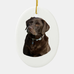 Schokoladen-Labrador-HundeFotoporträt Keramik Ornament