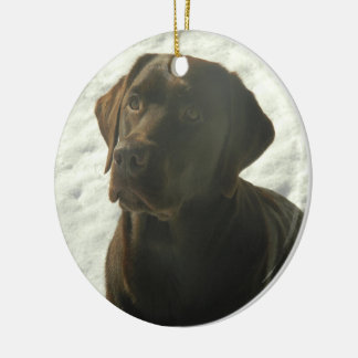 Schokoladen-Labrador im Schnee Keramikornament