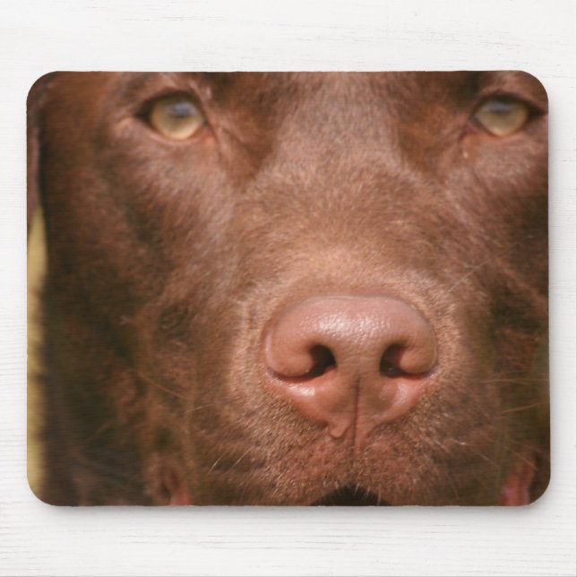 Schokoladen-Labrador-Mausunterlage Mousepad (Vorne)