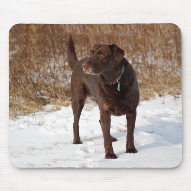 Schokoladen-Labrador Mousepad (Vorne)