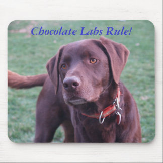 Schokoladen-Labrador-Regel! Mousepad