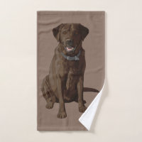 Schokoladen-Labrador retriever-Hundesitzen