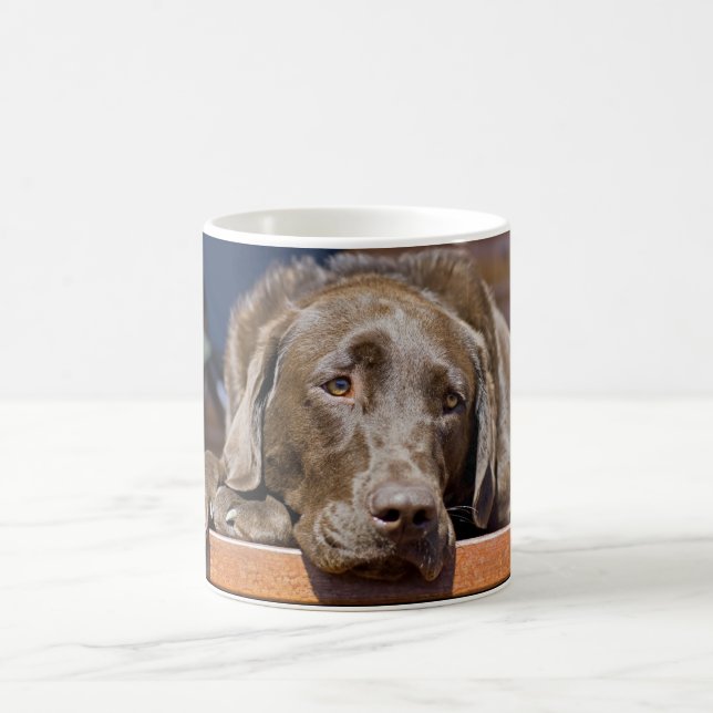 Schokoladen-Labrador-Retriever-Nahaufnahme-Foto Kaffeetasse (Mittel)