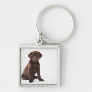 Schokoladen-Labrador retriever-Welpe Schlüsselanhänger
