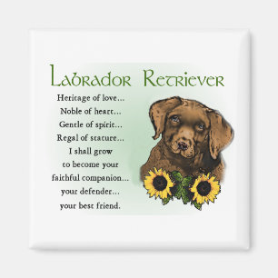 Schokoladen-Labrador retriever-Welpen-Geschenke Magnet