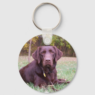 Schokoladen-Labrador Schlüsselanhänger