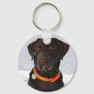 Schokoladen-Labrador-Schlüsselanhänger Schlüsselanhänger