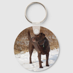 Schokoladen-Labrador-Schlüsselanhänger Schlüsselanhänger