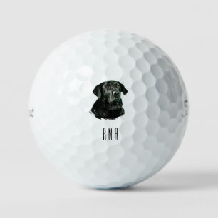 Schokoladen-Labrador Schwarzer Lab Golfball