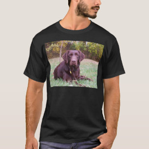 Schokoladen-Labrador T-Shirt