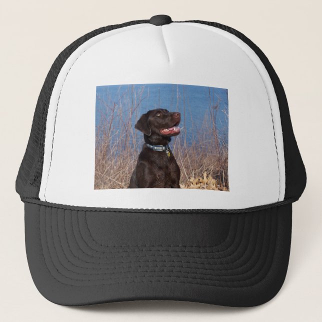 Schokoladen-Labrador Truckerkappe (Vorderseite)