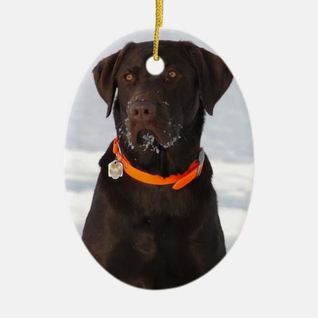 Schokoladen-Labrador-Verzierung Keramikornament (Vorne)
