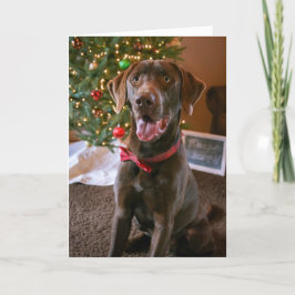 Schokoladen-Labrador-Weihnachtskarte Feiertagskarte