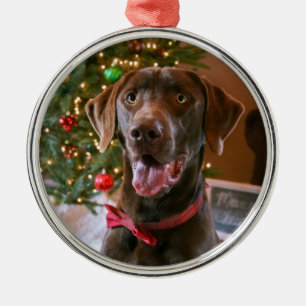 Schokoladen-Labrador-Weihnachtsverzierung Ornament Aus Metall