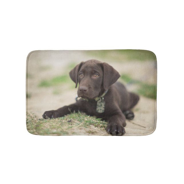 Schokoladen-Labrador-Welpe Badematte (Vorderseite)