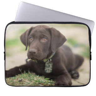 Schokoladen-Labrador-Welpe Laptopschutzhülle