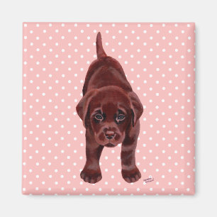 Schokoladen-Labrador-Welpe Magnet