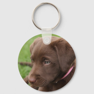 Schokoladen-Labrador-Welpen-Schlüsselanhänger Schlüsselanhänger
