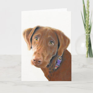 Schokoladen-Labradorgrußkarte, Hundekarte, Karte