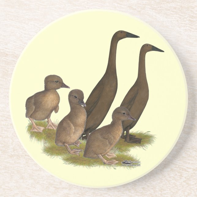 Schokoladen-Läufer-Enten-Familie Sandstein Untersetzer (Vorne)