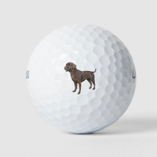 Schokoladenhund Stehend Golfball (Vorderseite)