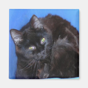 SCHOKOLADENKÜCHE MAGNET