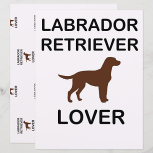Schokoladenliebhaber Labrador